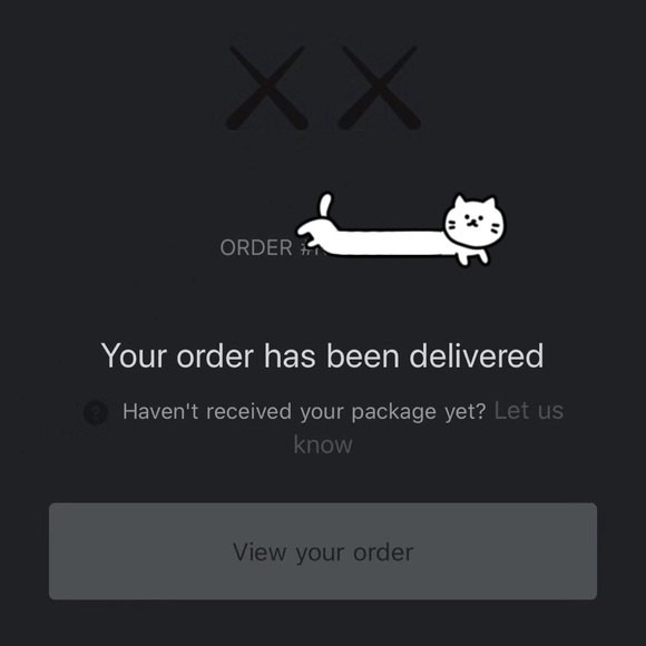 KAWS separated - Brown - Picture 2 of 4